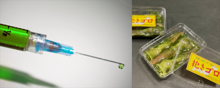 insert-img2:抱きゴロ