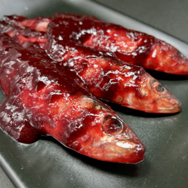 RED BULLET 鰯 正面