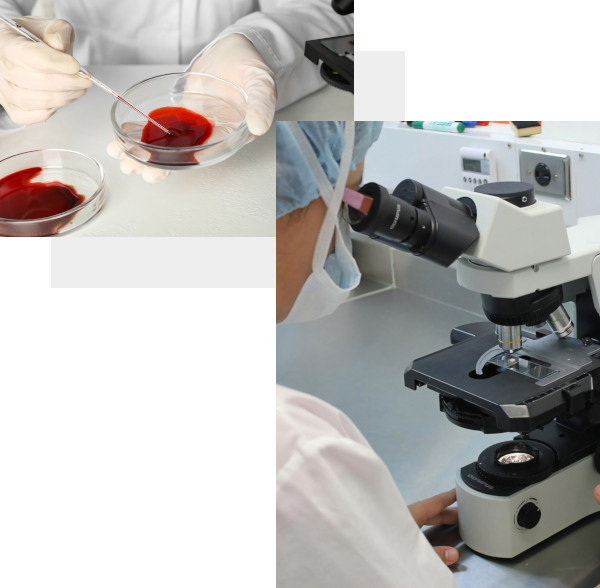 insert-BPL:MAX-BLOOD