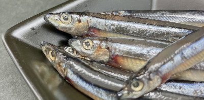 HFきびなごNatural