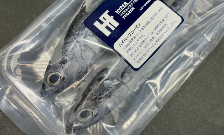 HFろうそく｜海上釣堀エサ 青物