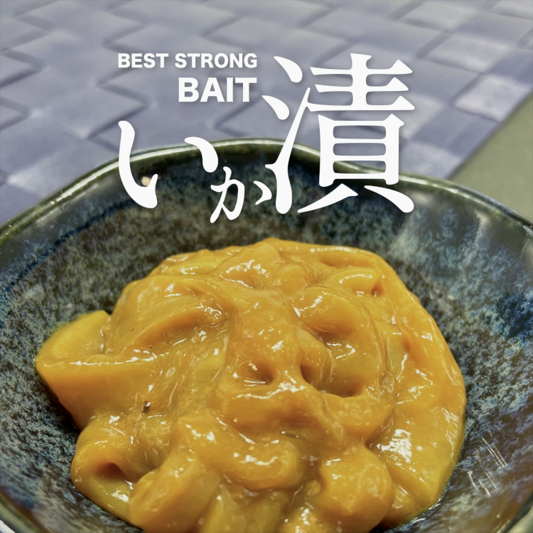 いか漬（いかづけ）｜海上釣堀エサ 真鯛
