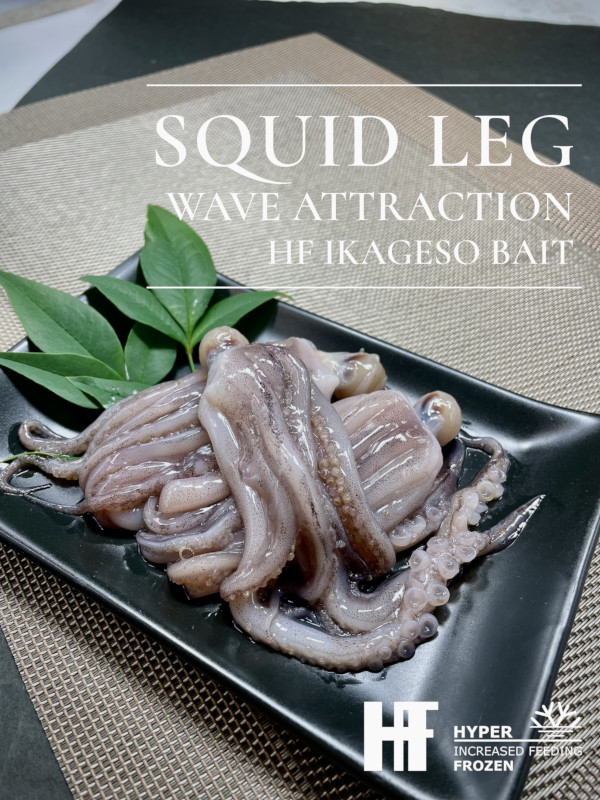 HFイカ下足 限定品｜海上釣堀エサ 魚餌研