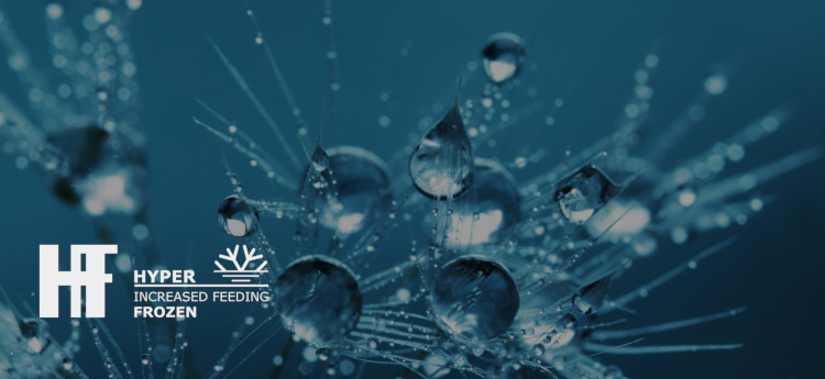 特殊冷凍技術開発